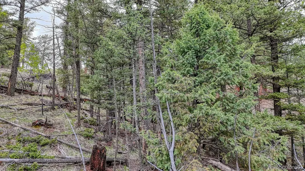 918 Pinon Lane Florissant CO 80816