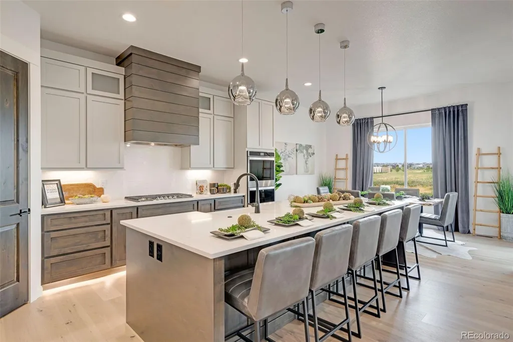 3662 N Buchanan Court Aurora CO 80019