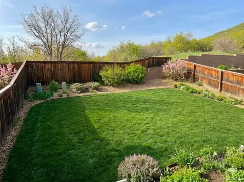 2667 Live Oak Court Castle Rock CO 80104