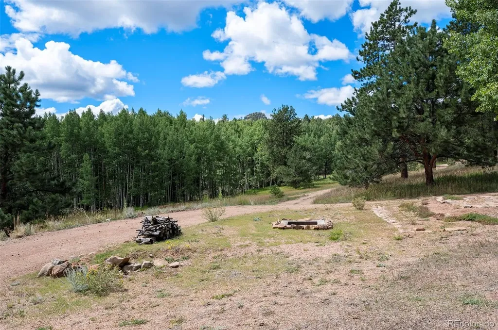 4710 Wildhorn Road Florissant CO 80816