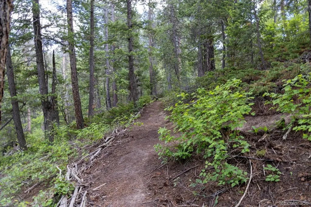 31429 Burke Road Golden CO 80403