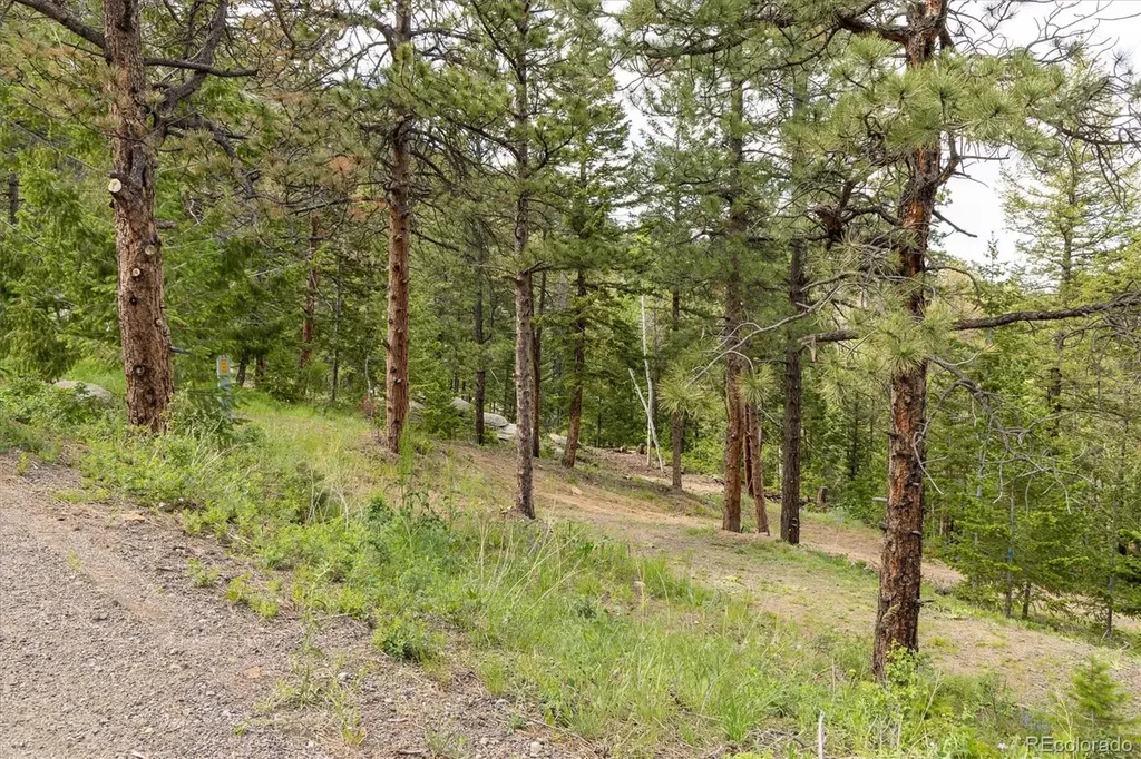 31429 Burke Road Golden CO 80403