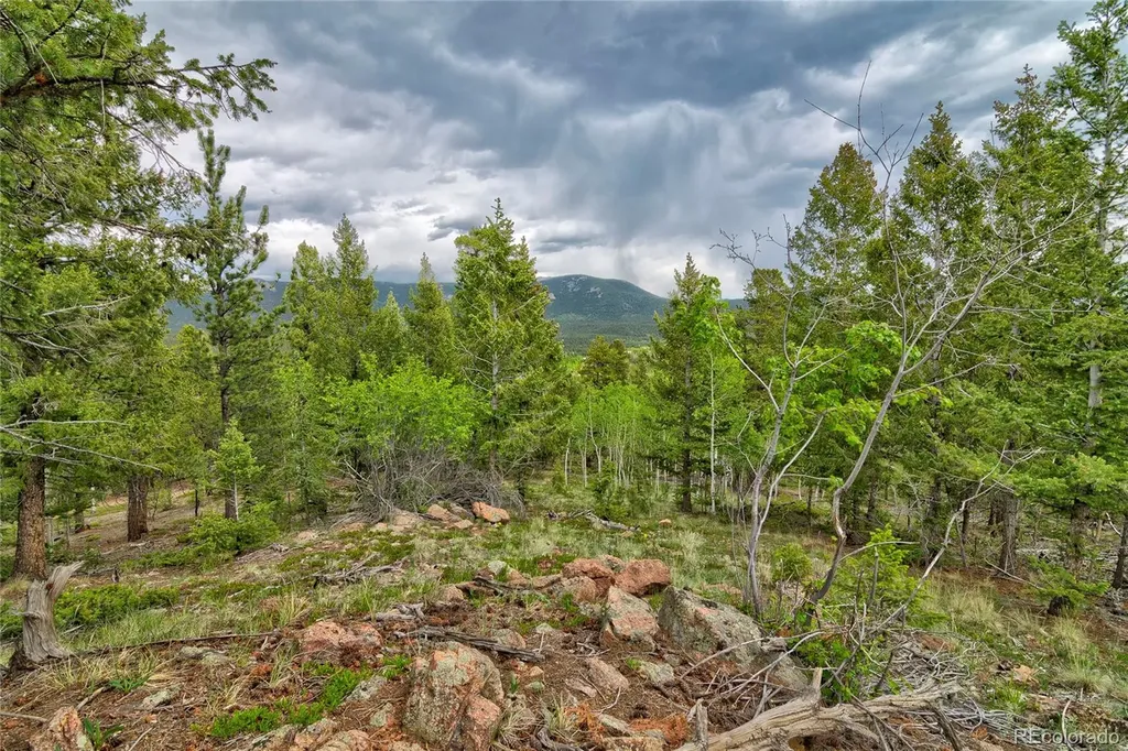 130 Summit Way Bailey CO 80421