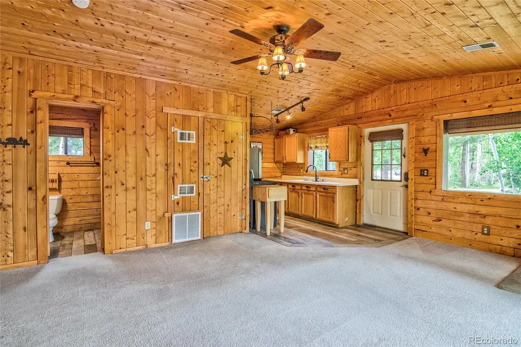 130 Summit Way Bailey CO 80421