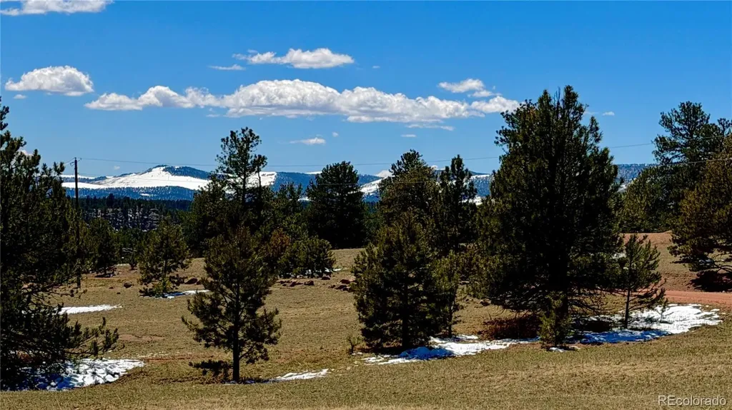 418 Scott Drive Florissant CO 80816