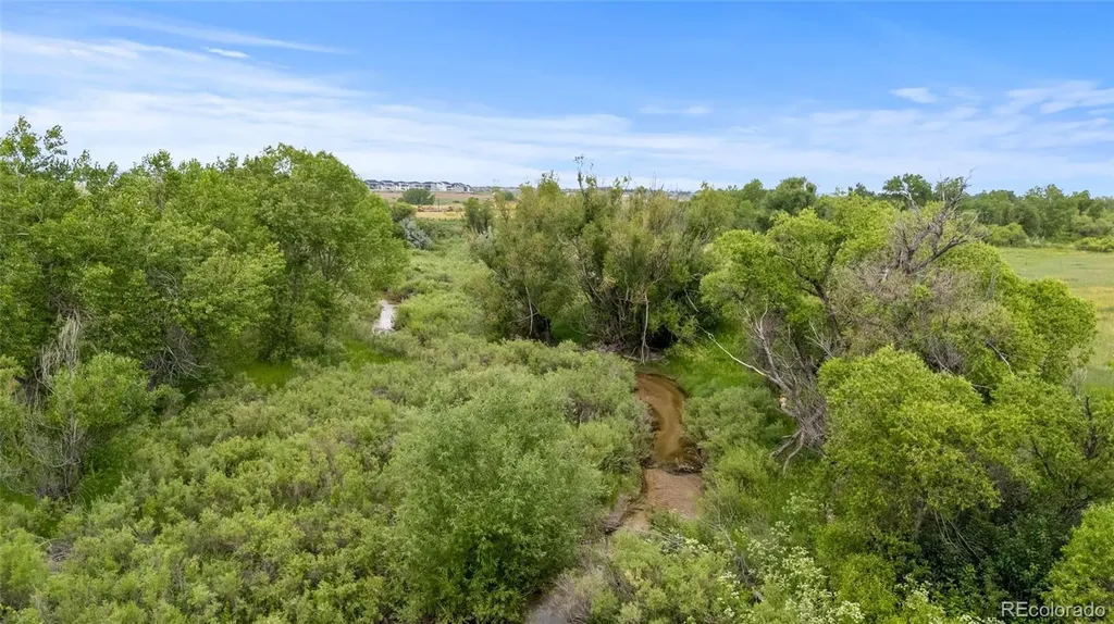 5909 Los Olivas Point Parker CO 80134