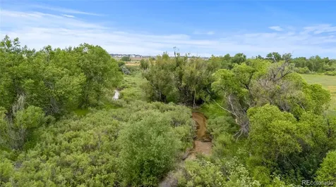 5909 Los Olivas Point Parker CO 80134
