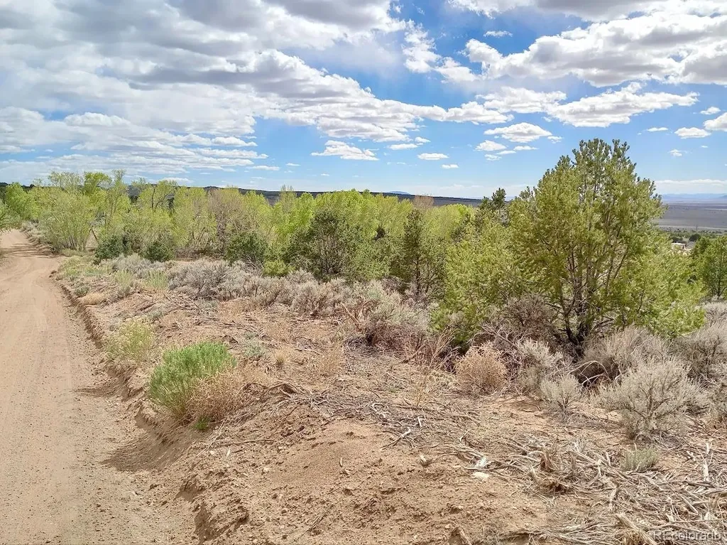 Lot 1258 Michaels Road Fort Garland CO 81133