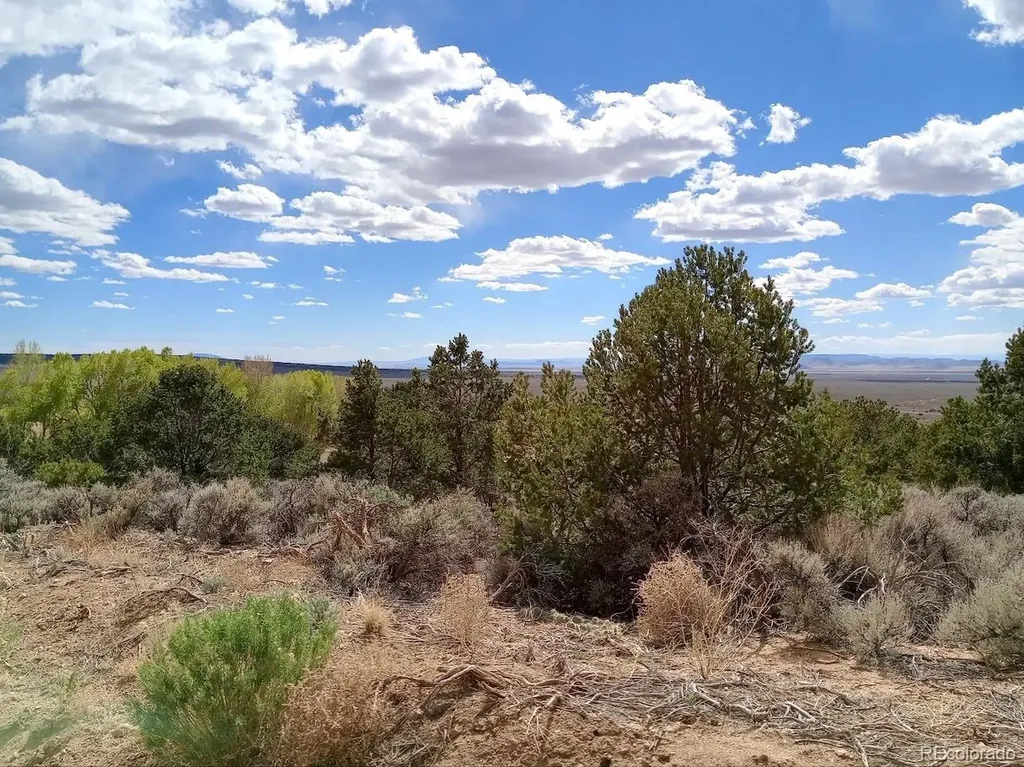 Lot 1258 Michaels Road Fort Garland CO 81133