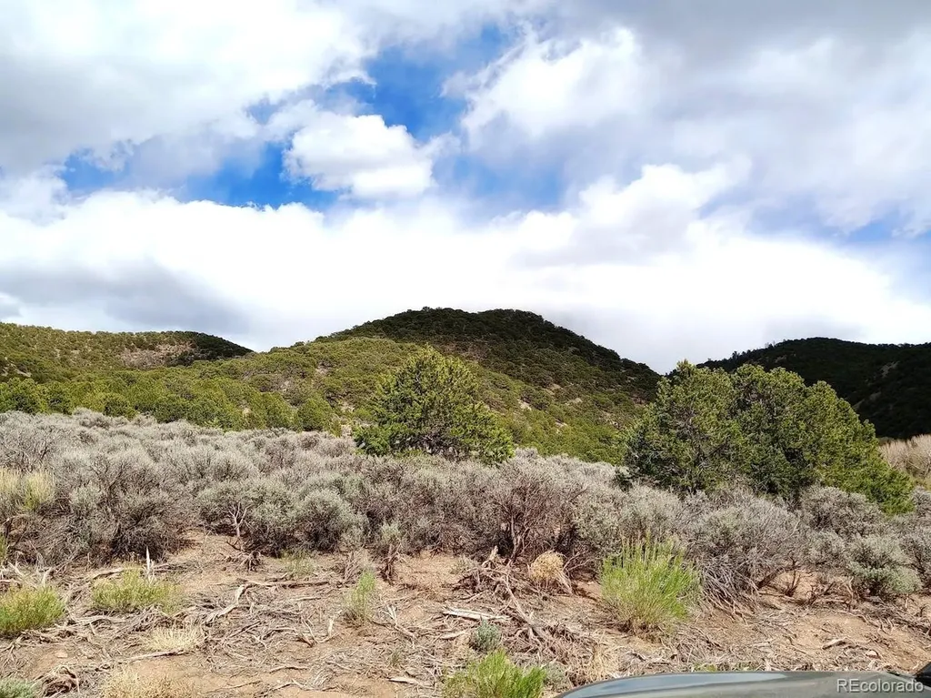 Lot 1258 Michaels Road Fort Garland CO 81133