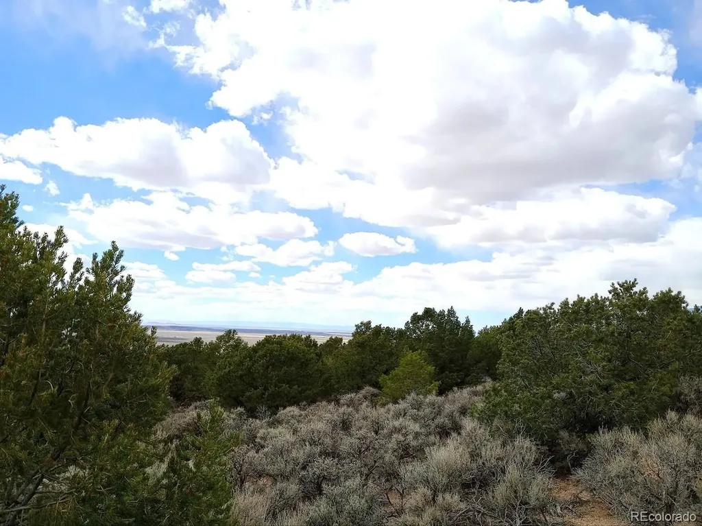 Lot 1258 Michaels Road Fort Garland CO 81133