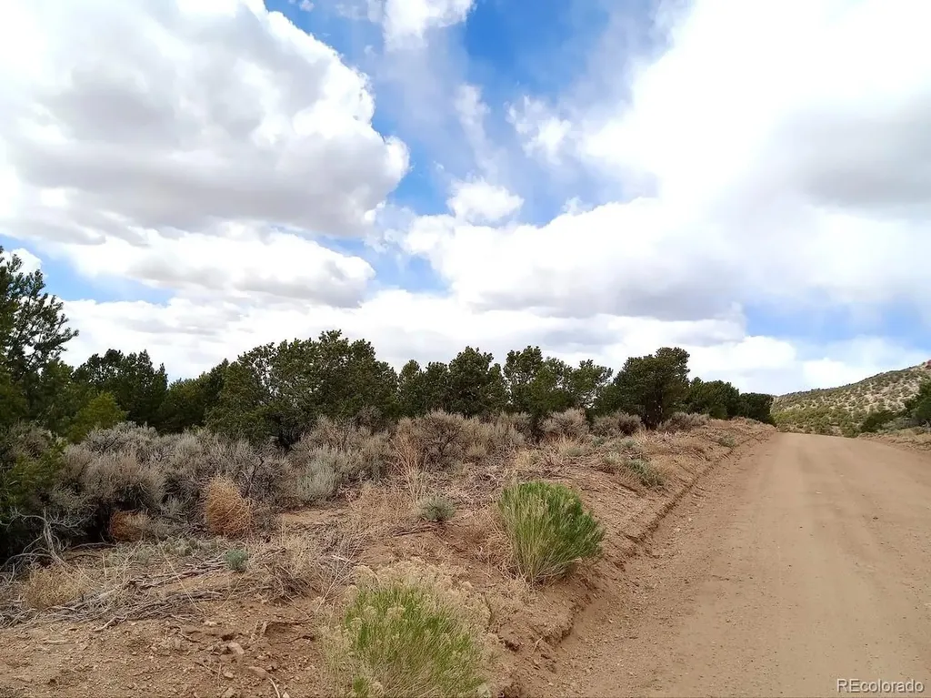 Lot 1258 Michaels Road Fort Garland CO 81133