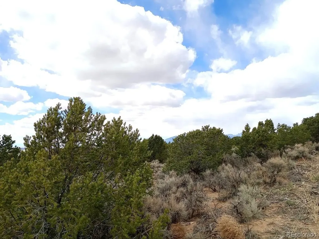 Lot 1258 Michaels Road Fort Garland CO 81133