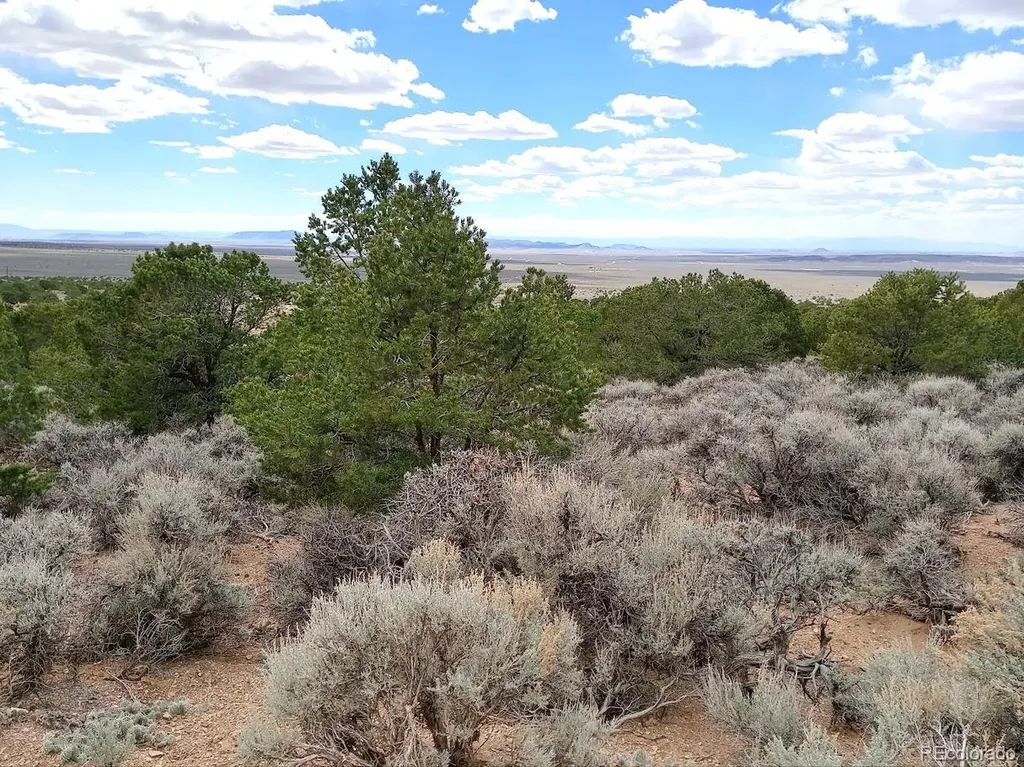 Lot 1258 Michaels Road Fort Garland CO 81133