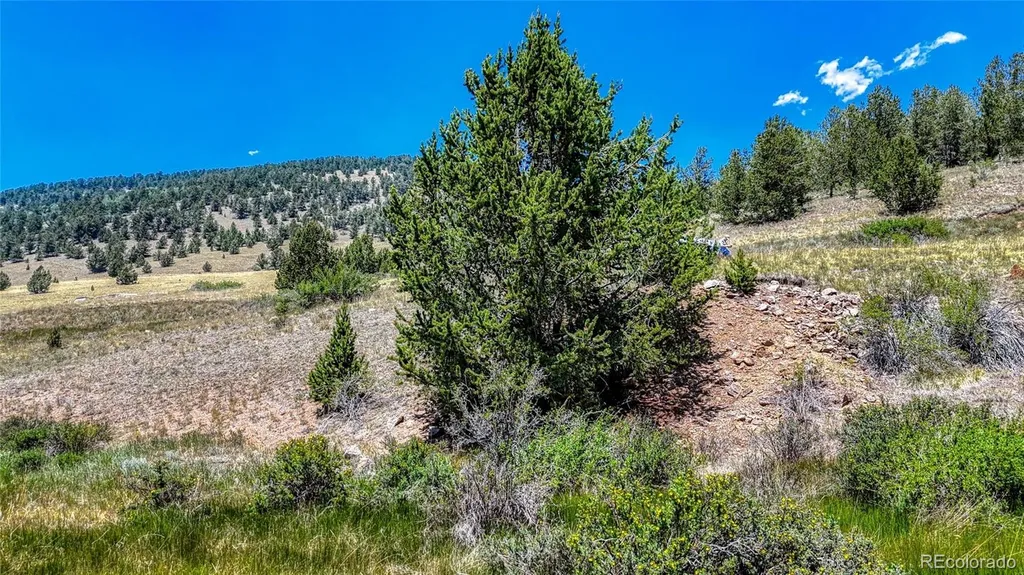 State Highway 67 Cripple Creek CO 80813
