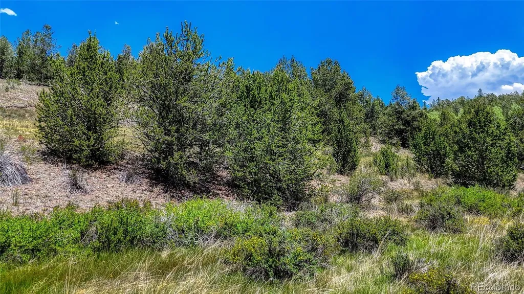 State Highway 67 Cripple Creek CO 80813