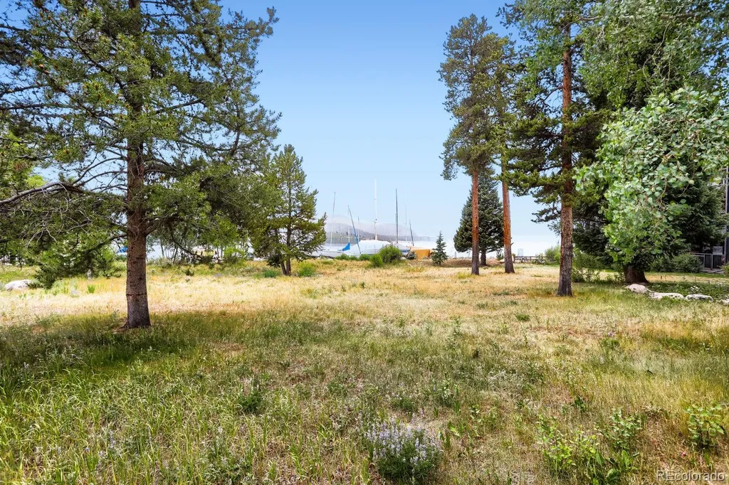 160 E La Bonte Street Dillon CO 80435