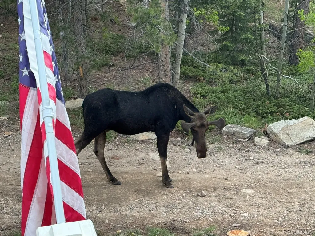 126 Signal Rock Road Golden CO 80403