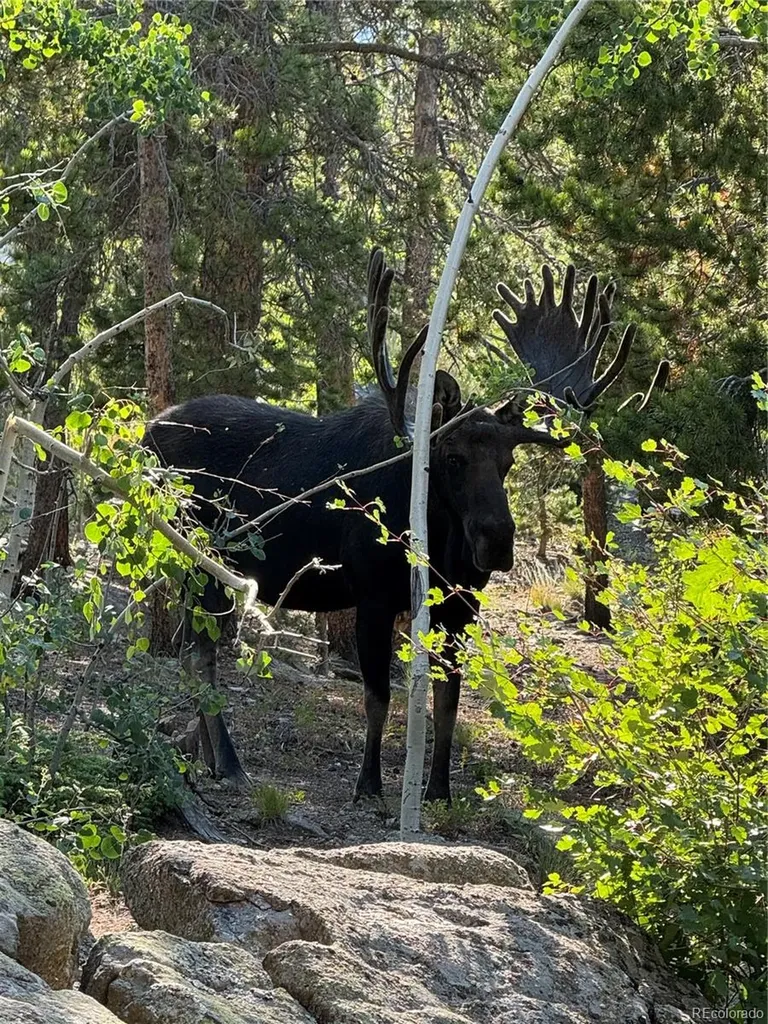 126 Signal Rock Road Golden CO 80403