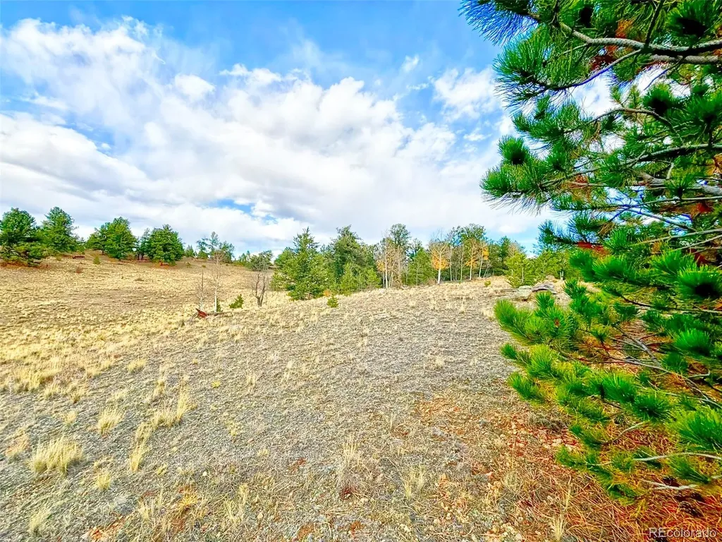 115 Black Canyon Court Hartsel CO 80449