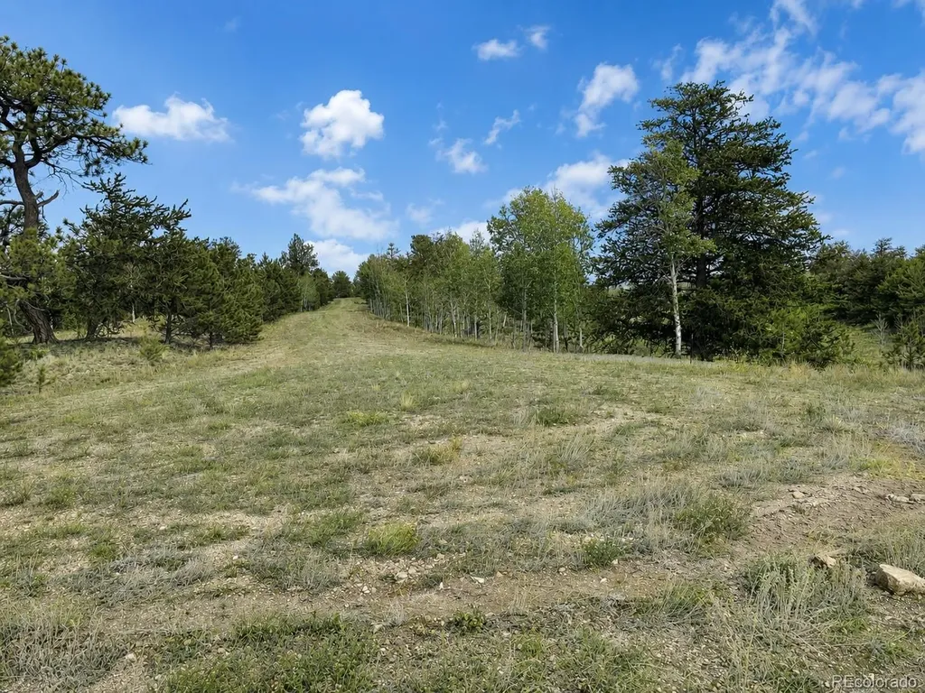 115 Black Canyon Court Hartsel CO 80449