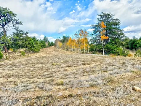 115 Black Canyon Court Hartsel CO 80449