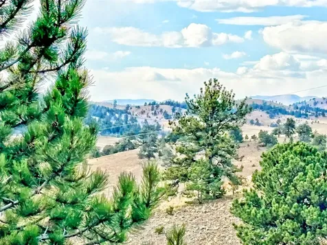 115 Black Canyon Court Hartsel CO 80449