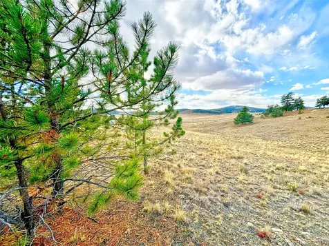 115 Black Canyon Court Hartsel CO 80449