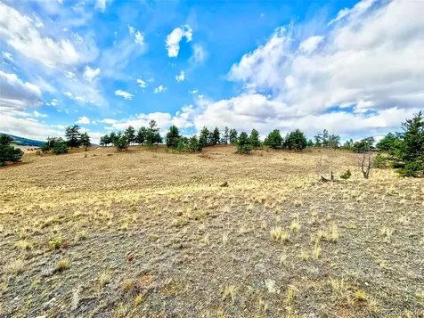 115 Black Canyon Court Hartsel CO 80449
