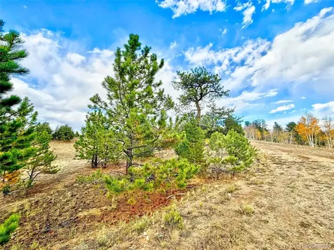 115 Black Canyon Court Hartsel CO 80449