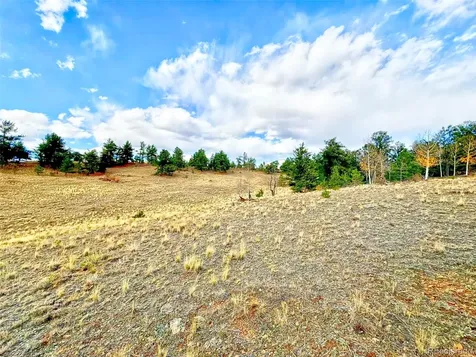 115 Black Canyon Court Hartsel CO 80449