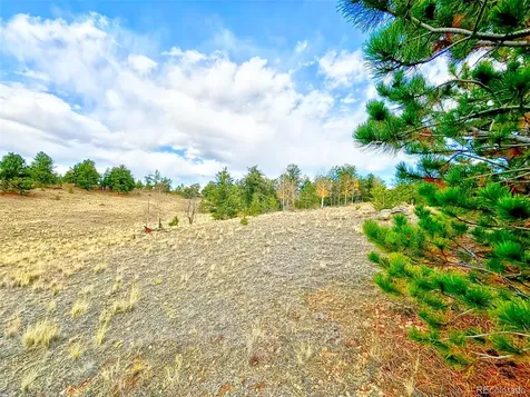 115 Black Canyon Court Hartsel CO 80449