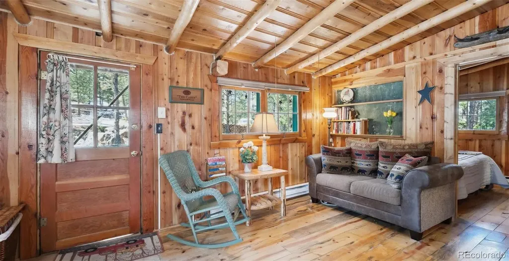 33885 La Plata Lane Pine CO 80470