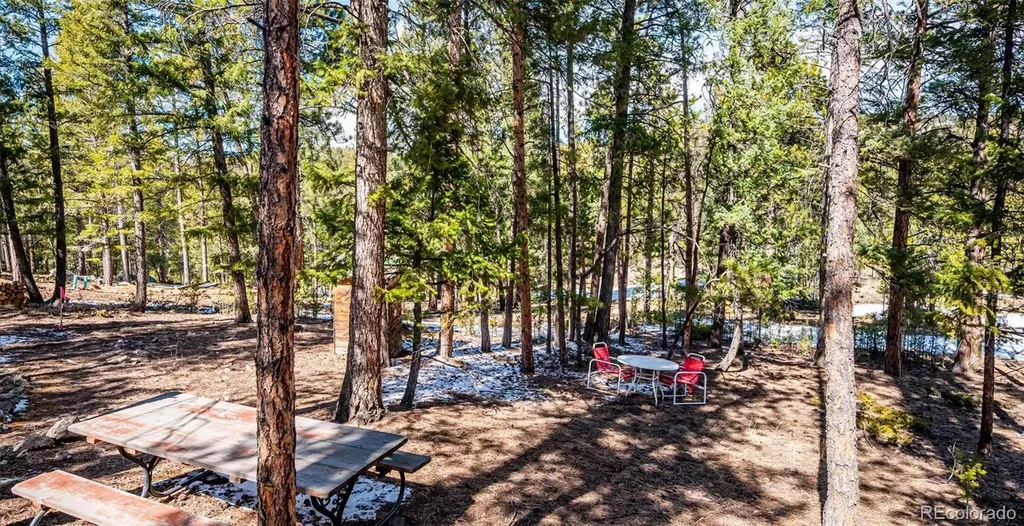 33885 La Plata Lane Pine CO 80470