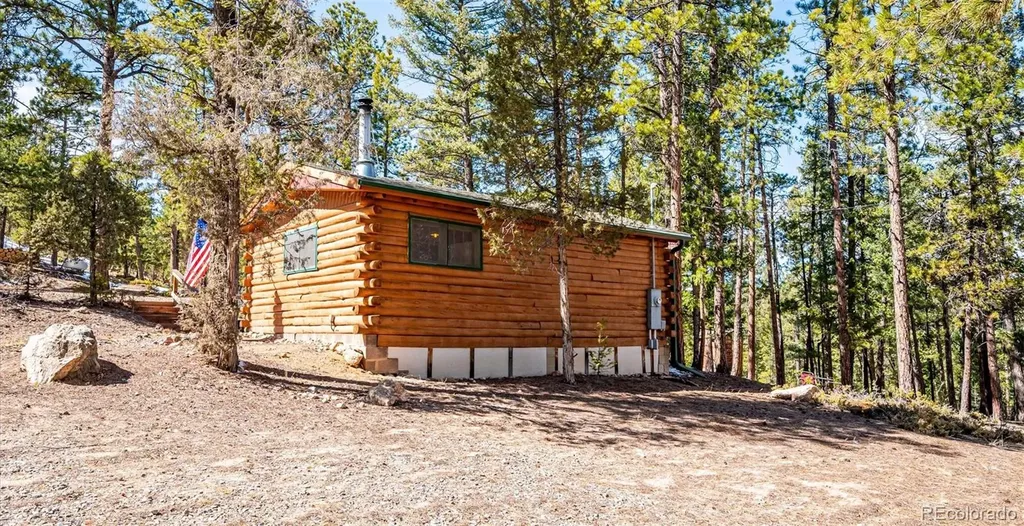 33885 La Plata Lane Pine CO 80470