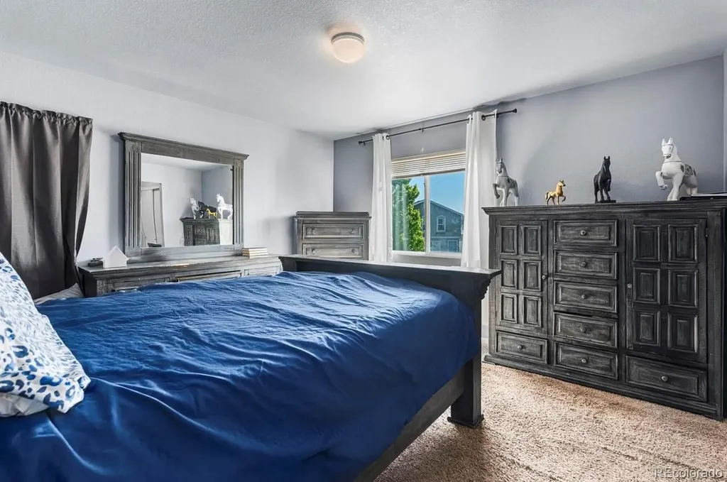 4528 Andes Street Denver CO 80249