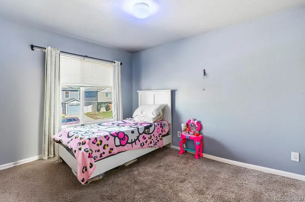 4528 Andes Street Denver CO 80249