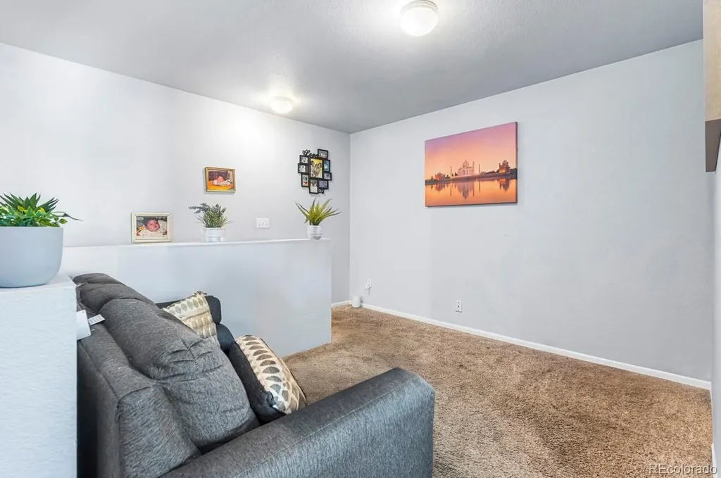4528 Andes Street Denver CO 80249