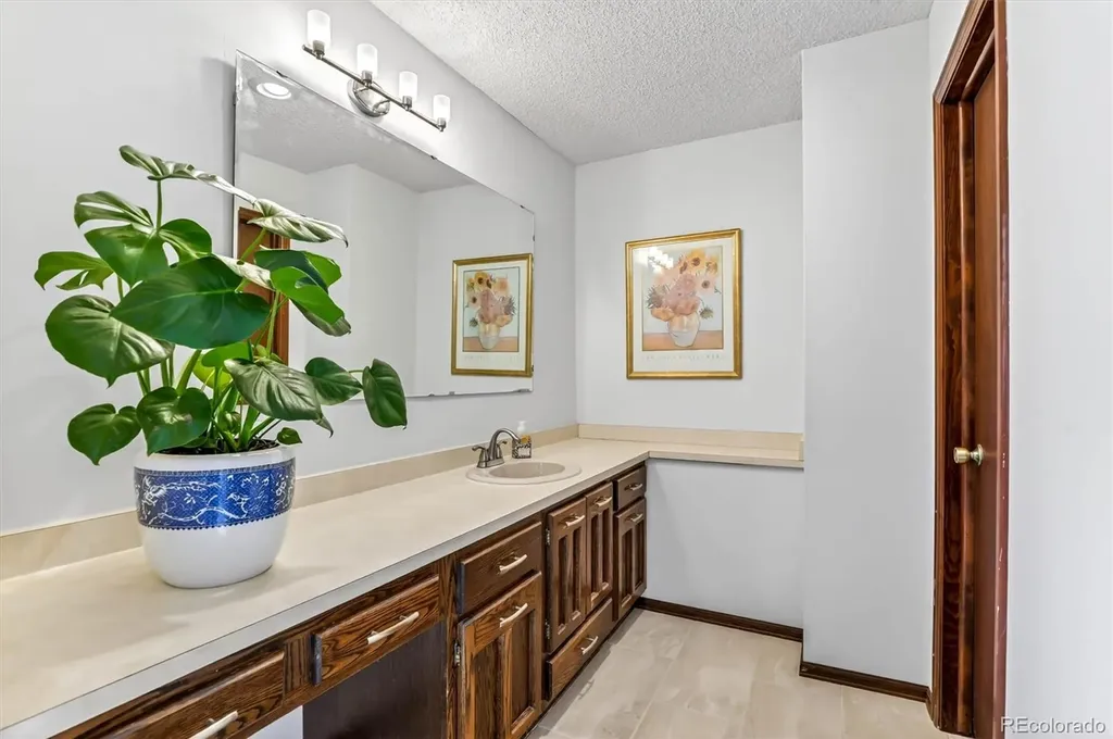 243 Dawson Drive Castle Rock CO 80104