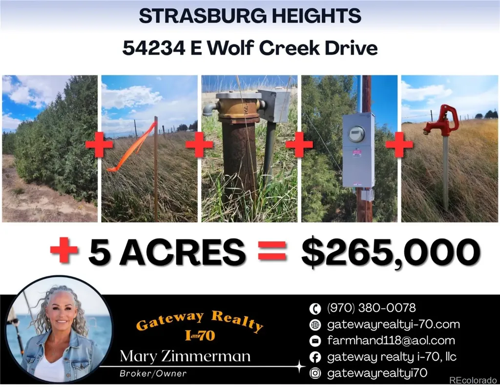 54234 E Wolf Creek Drive Strasburg CO 80136