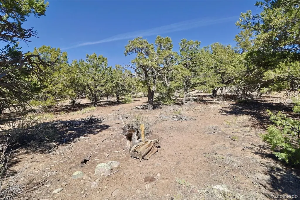 3921 Cordial Way Crestone CO 81131