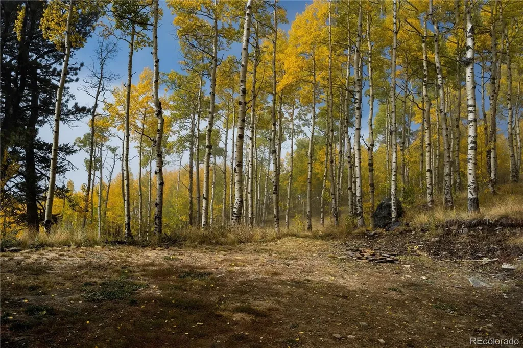 0 Robinson Hill Road Golden CO 80403