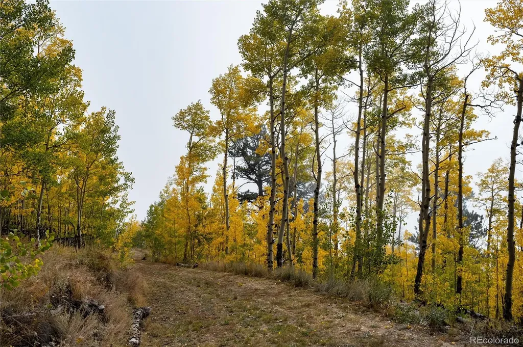 0 Robinson Hill Road Golden CO 80403