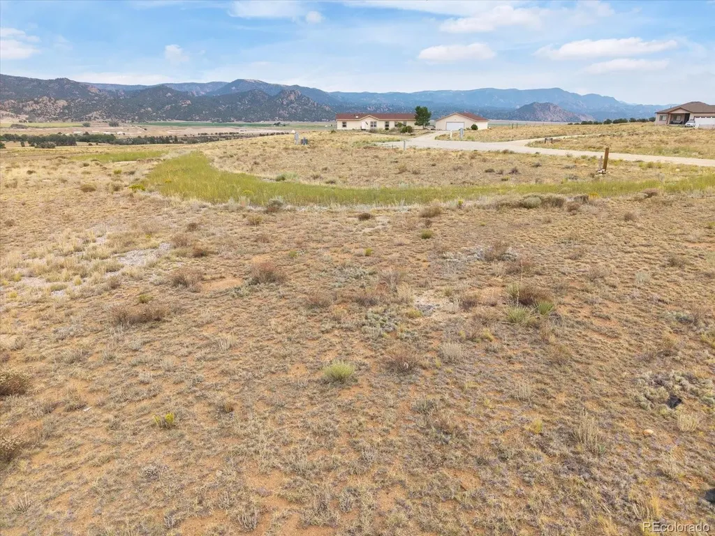 13944 Meadow Lane Buena Vista CO 81211