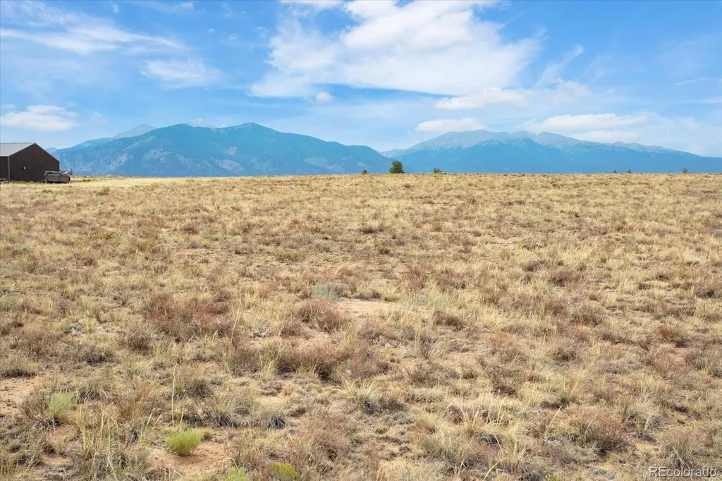 13944 Meadow Lane Buena Vista CO 81211