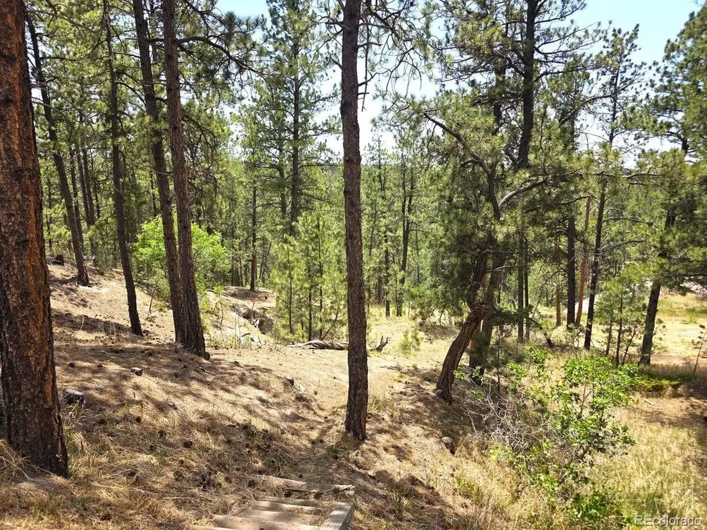 4465 Leprechaun Lane Colorado Springs CO 80908