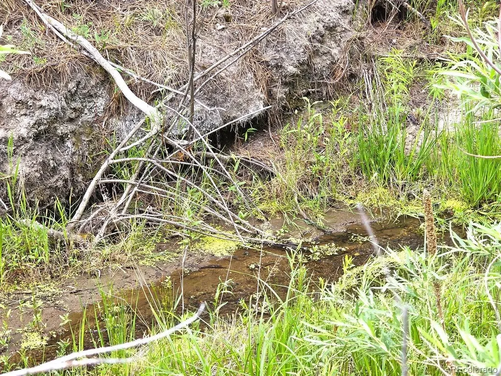 4465 Leprechaun Lane Colorado Springs CO 80908