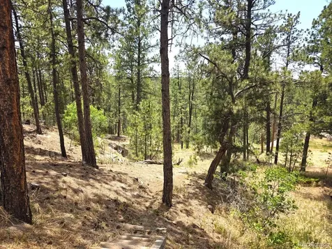 4465 Leprechaun Lane Colorado Springs CO 80908