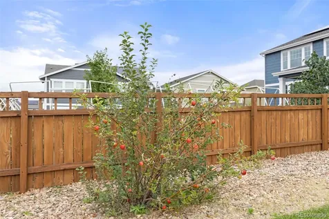 3021 Leafdale Drive Castle Rock CO 80109
