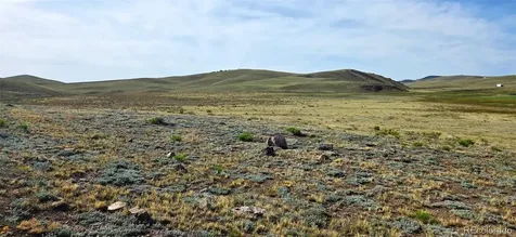 209 Watonga Trail Hartsel CO 80449